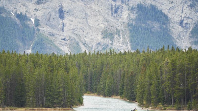 Banff National Park bear attack: 2 killed in suspected grizzly bear attack