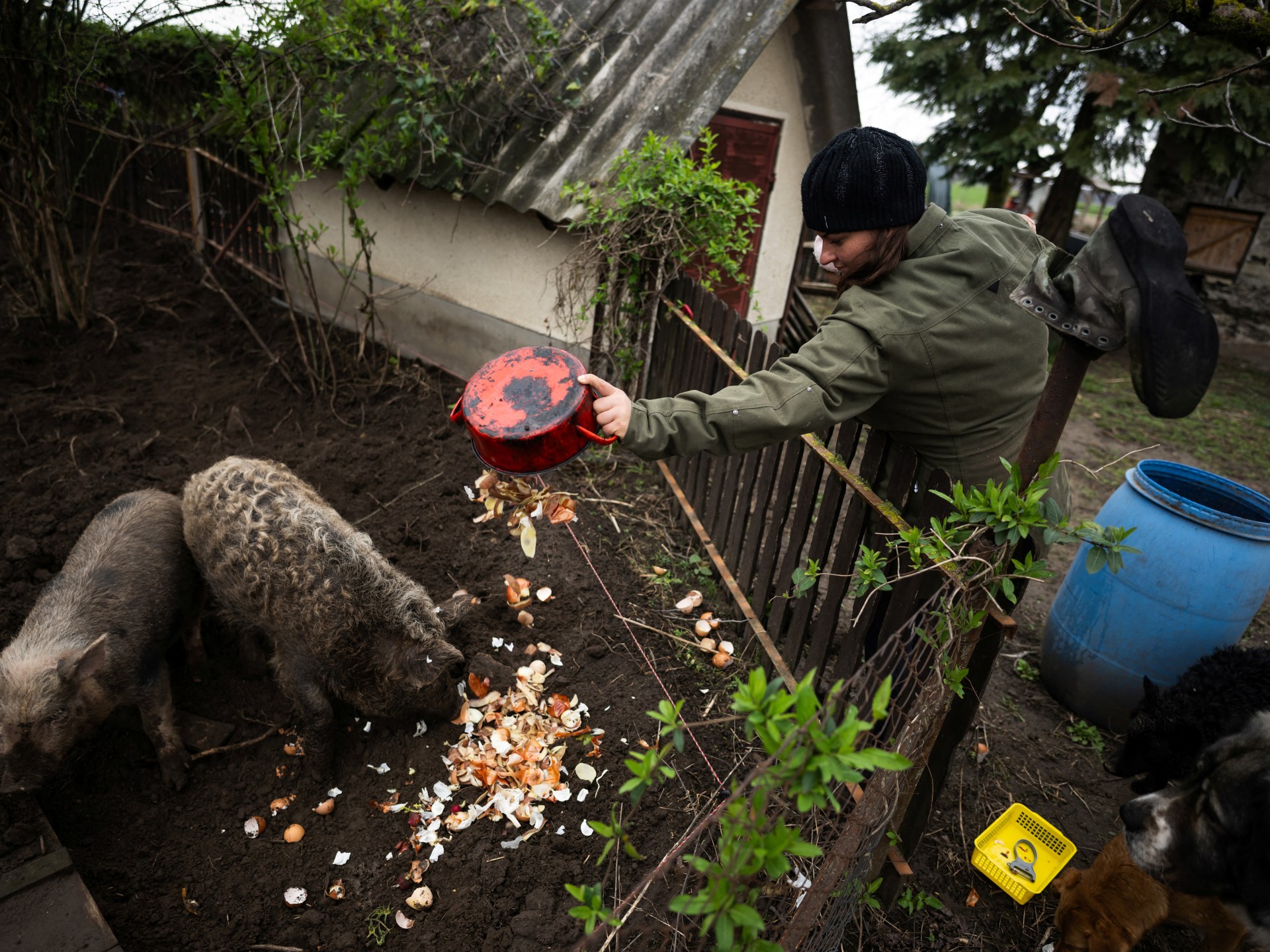 Sustainable living gives Hungarian families hope for the future | Environment