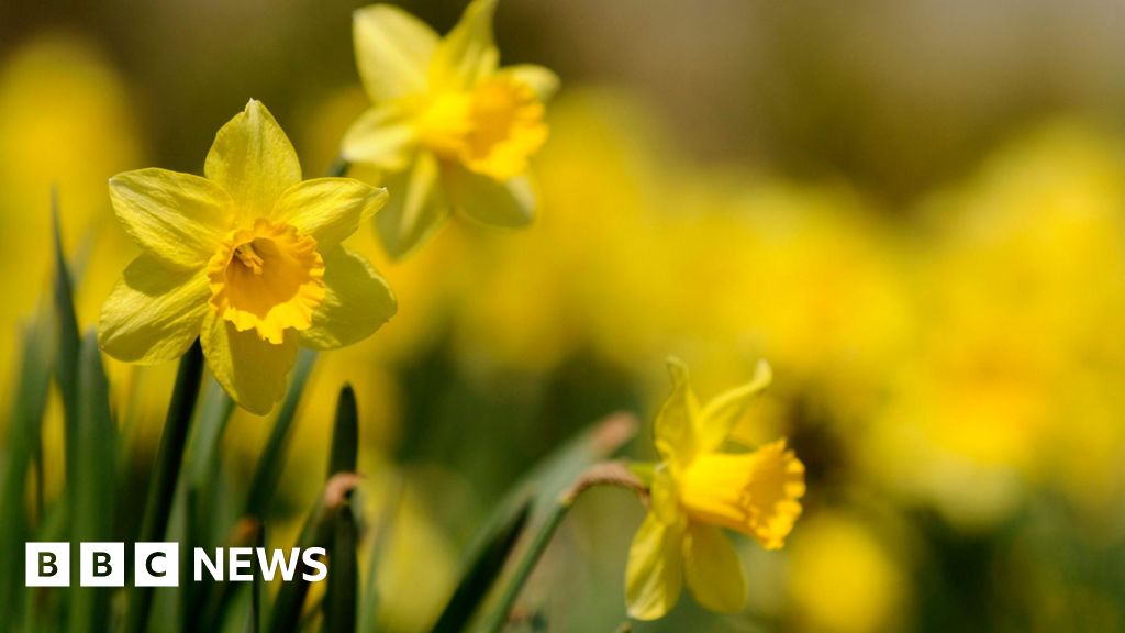 The search for rare flowers lost from history