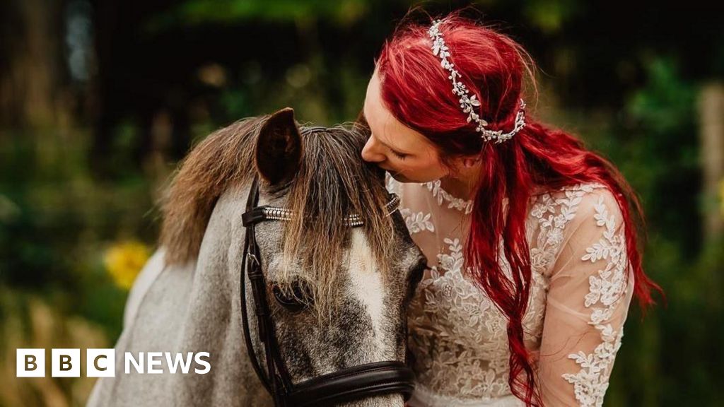 ‘Oldest horse’ thrives on linseed cake and light exercise