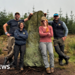 Archaeologists uncover Bronze Age stone circle in Farley Wood