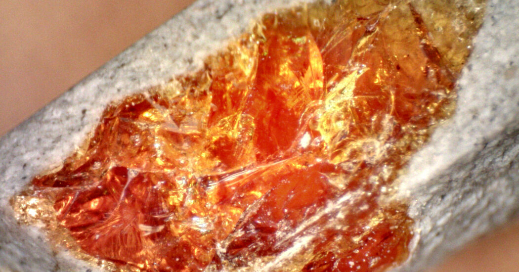 You Can Make Amber Fossils in 24 Hours, Instead of Millions of Years