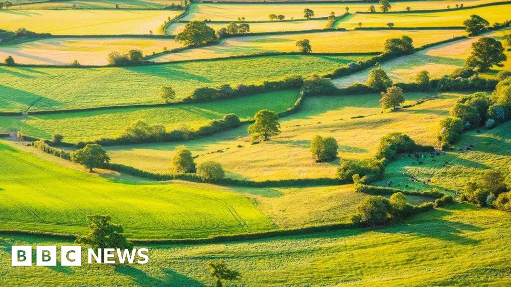 Environmental scheme closure a ‘shattering blow’ to farmers