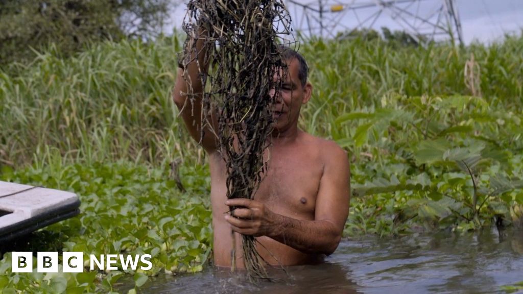 Whistleblower reveals Colombia oil giant’s ‘awful’ pollution