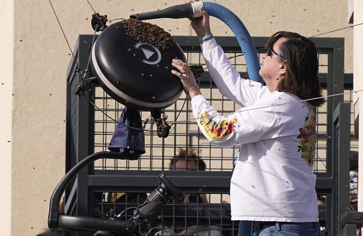 What Lance Davis, America’s most famous bee catcher and Indian Wells’ tennis savior, did next