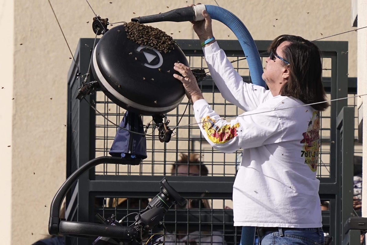 What Lance Davis, America’s most famous bee catcher and Indian Wells’ tennis savior, did next