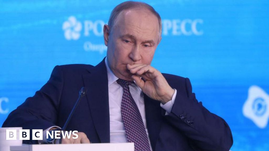 What are Putin’s options after US presents Ukraine ceasefire proposal?