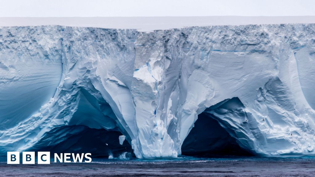 World’s biggest iceberg runs aground off remote island