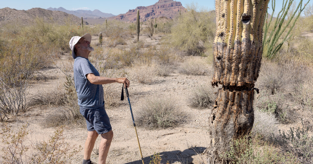 Weed Manager of the Year: One Man’s Quest to Save the Sonoran Desert