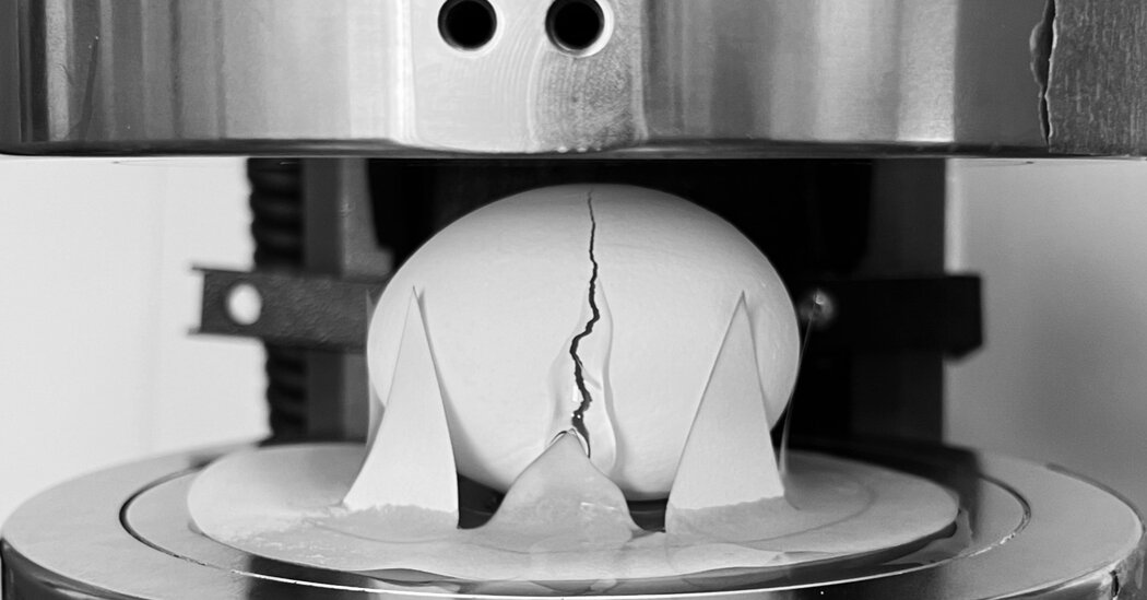 The Best Way to Drop an Egg