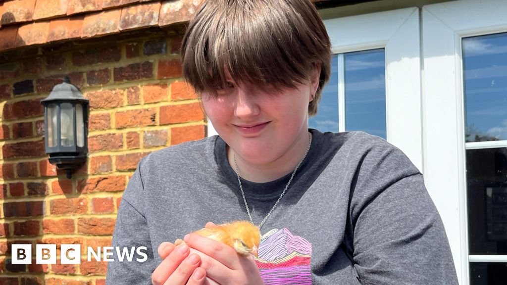 Helping on the farm in Surrey is reaping mental health rewards