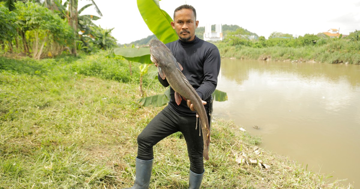 Malaysia’s ‘fish hunters’ target invasive species, one catch at a time | Environment News