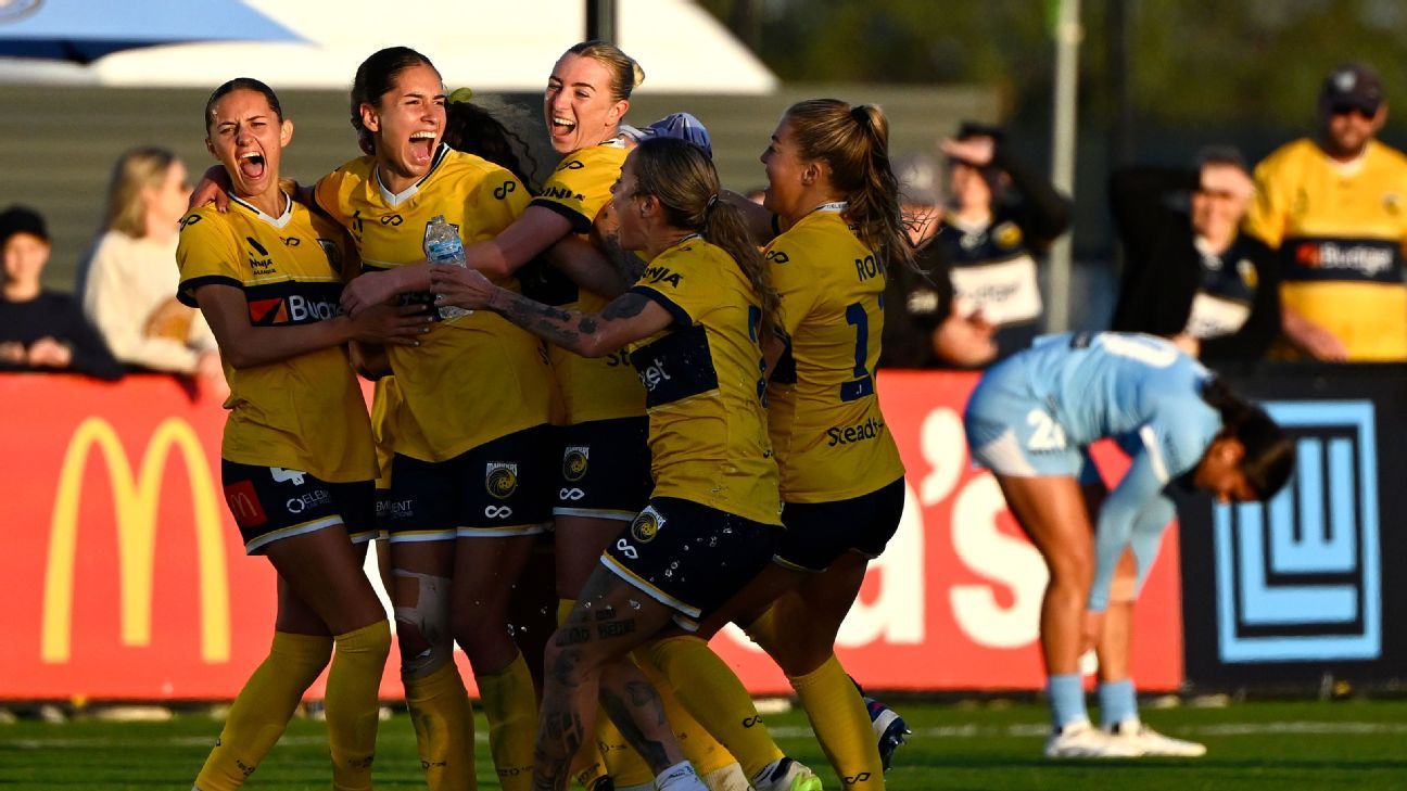 Offside goal ruins Melbourne City’s invincible A-League season