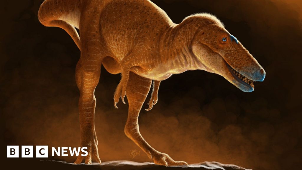 New species of dinosaur discovered that ‘rewrites’ T.rex family tree