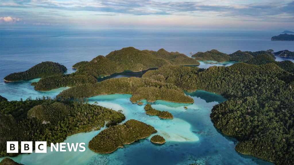 How a race for electric vehicles threatens a marine paradise