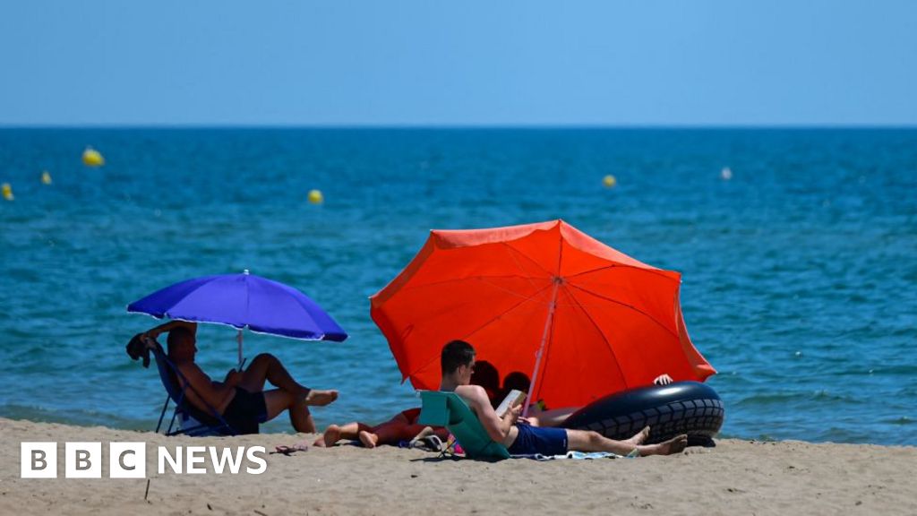 Intense Mediterranean Sea heatwave raises fears for marine life