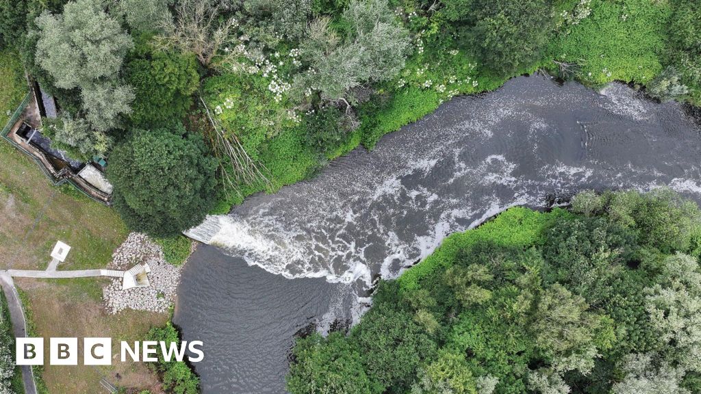 Serious water pollution in England up 60%, government says