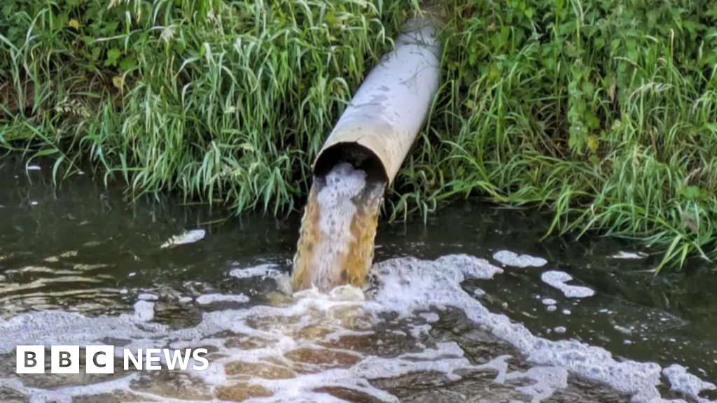 Water company sewage pollution to halve by 2030, minister pledges