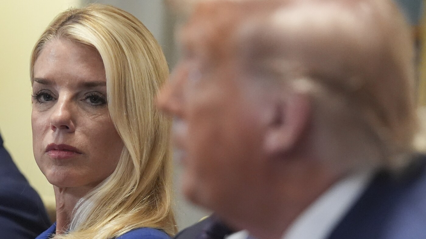 Trump calls for release of Jeffrey Epstein grand jury testimony : NPR