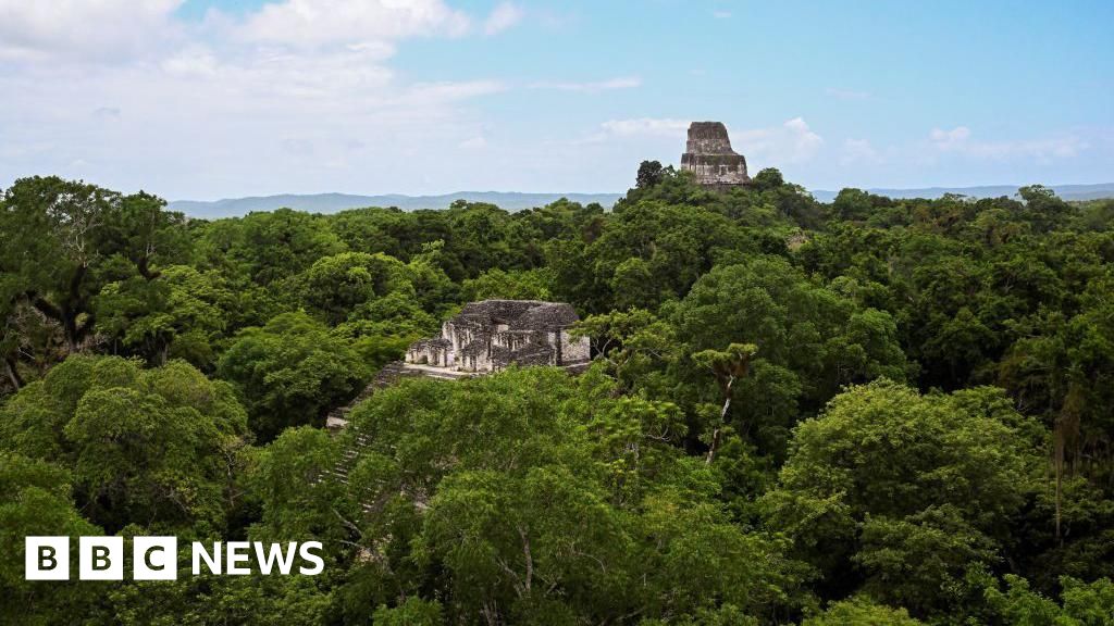 Skeleton found in Guatemala likely that of missing US birdwatcher