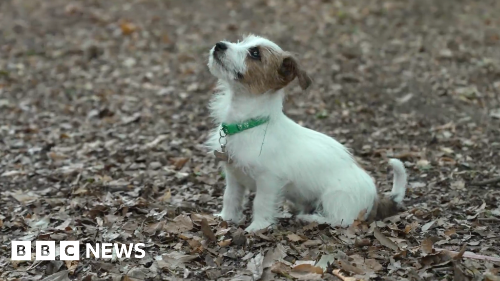 Alongside the heatwave, are we seeing an early autumn in the UK?