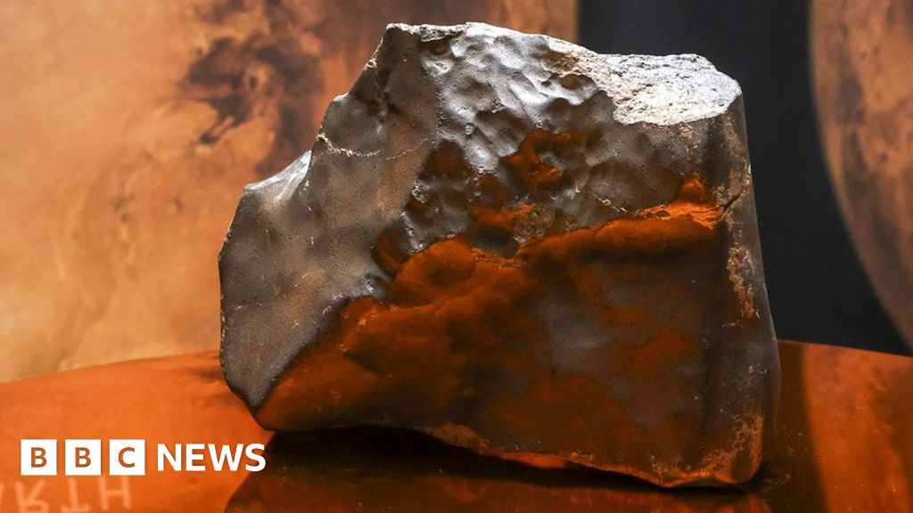 Niger’s anger that a piece of Mars ended up for auction