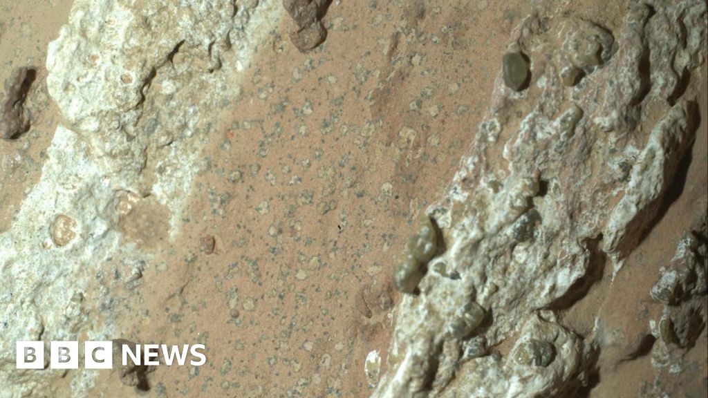 Nasa rover finds rocks on Mars with potential signs of past life