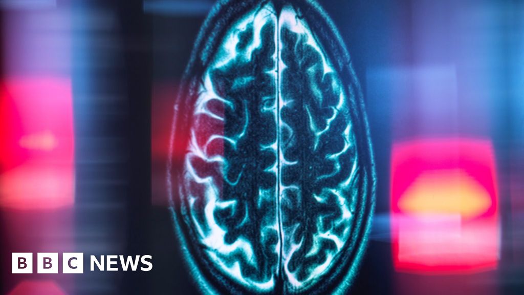 Scientists pinpoint the brain’s internal mileage clock