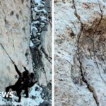 Thousands of dinosaur footprints found on Italian mountain