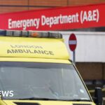 Hospitals facing unprecedented flu season, say NHS bosses