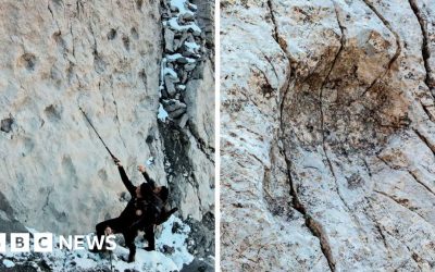 Thousands of dinosaur footprints found on Italian mountain