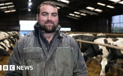 Protest-hit post-Brexit sustainable farming scheme goes live