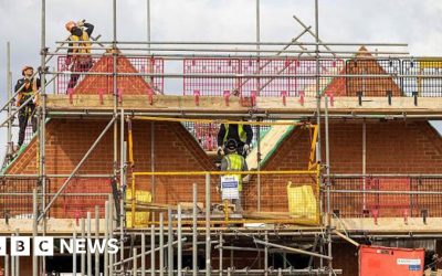 Nature is not a blocker to housing growth, MPs find