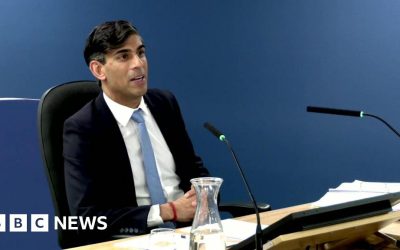 Sunak rejects claims Covid loan scheme open to excessive fraud